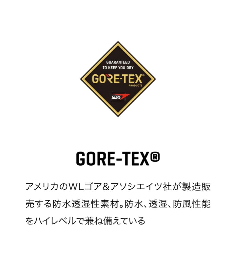 【中古】DAKINE PHOENIX GORE-TEX MITT Mサイズ