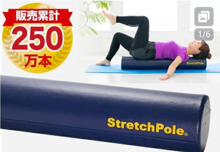 正規品LPN社製 ストレッチポール(R)EXシリーズ ストレッチポール 98cm