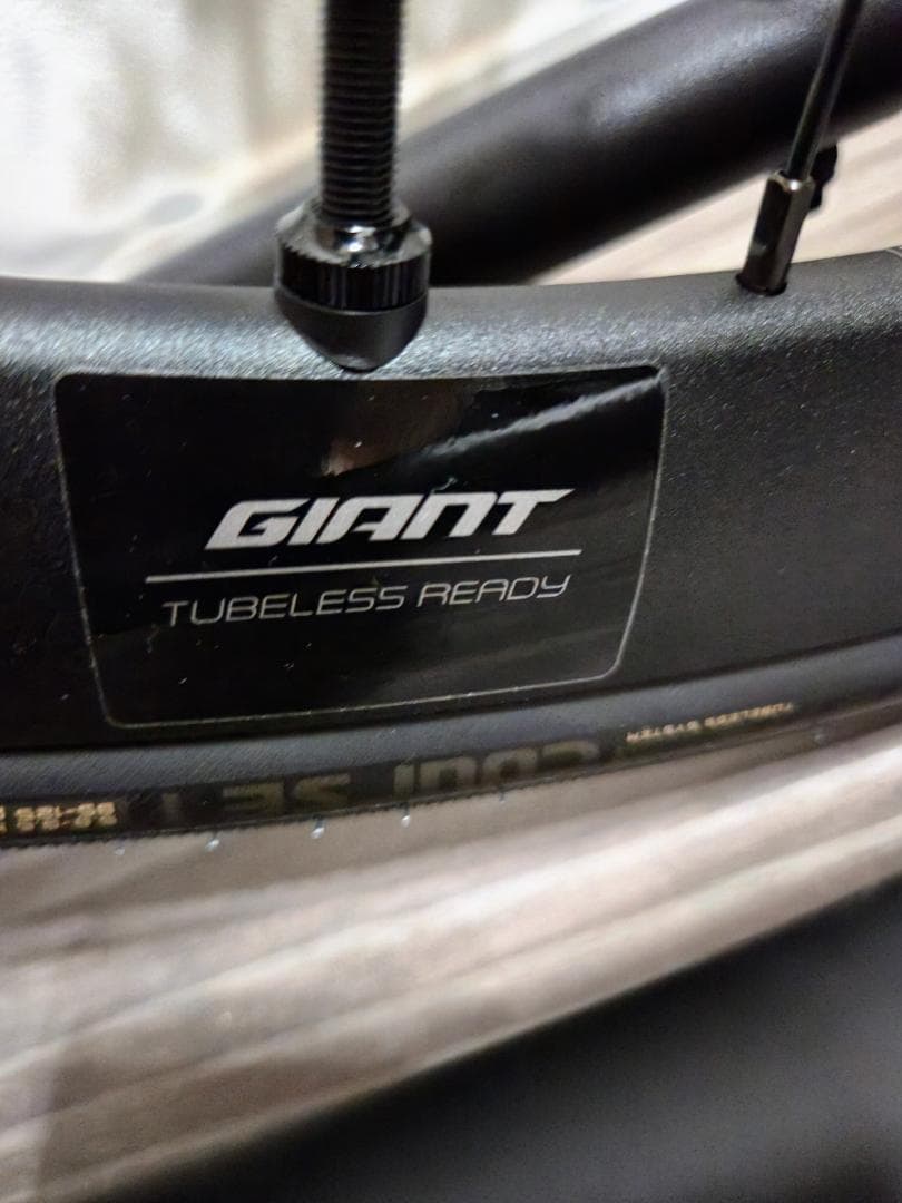 GIANT TCR ADVANCED 2 DISC SE 2021 サイズ:ML