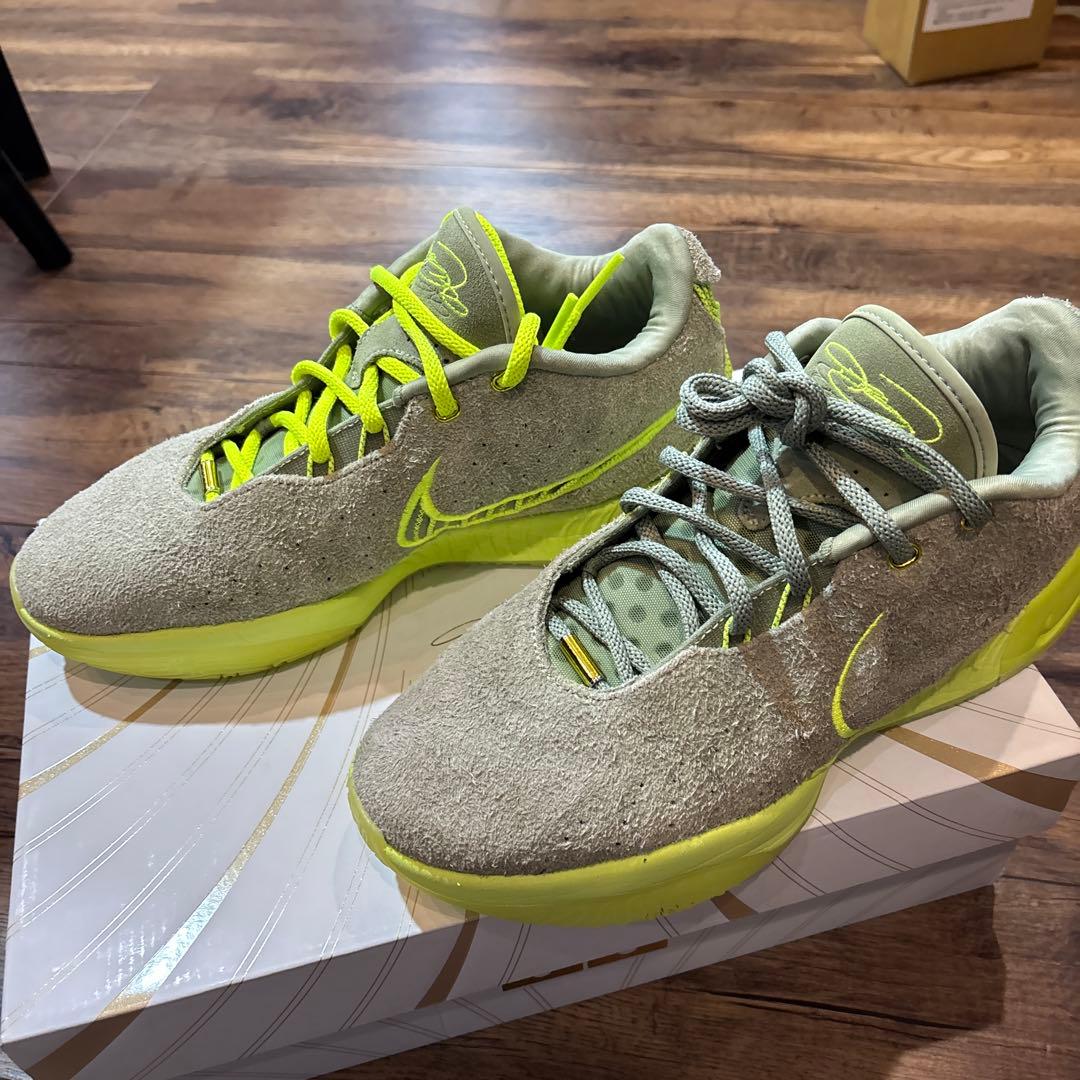 NIKE LEBRON 21 “アルジー” 28cm/US10