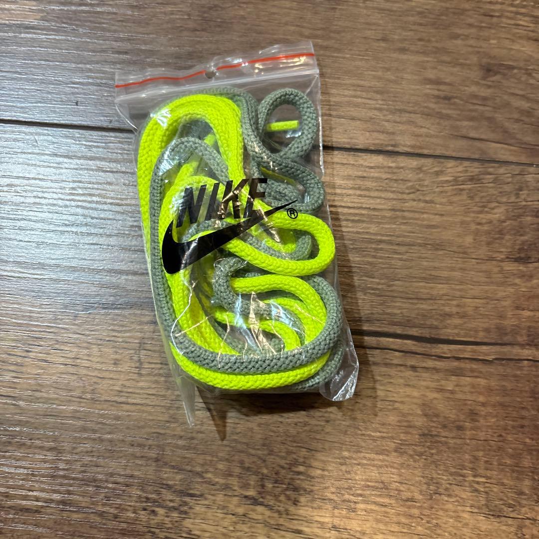 NIKE LEBRON 21 “アルジー” 28cm/US10