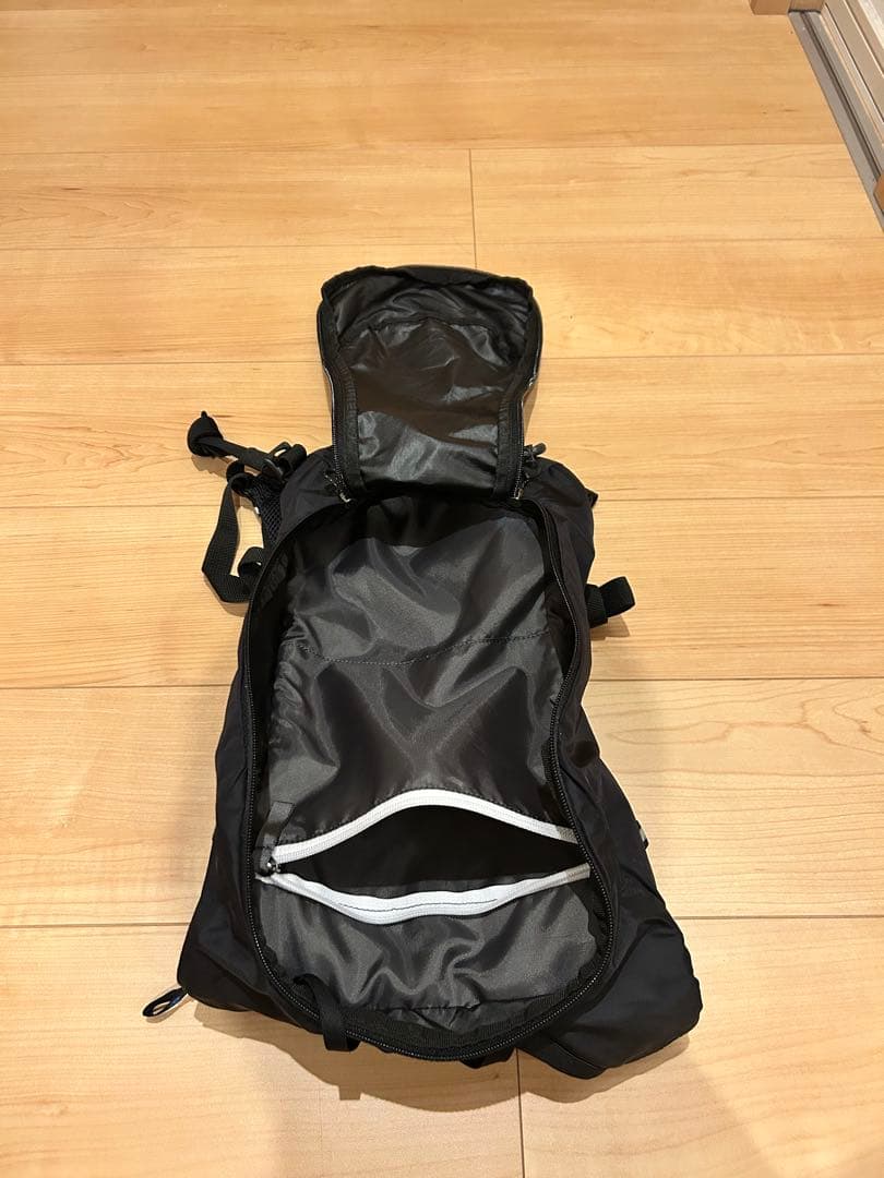 春*花様 Salomon サロモン ランニング 6L 黒
