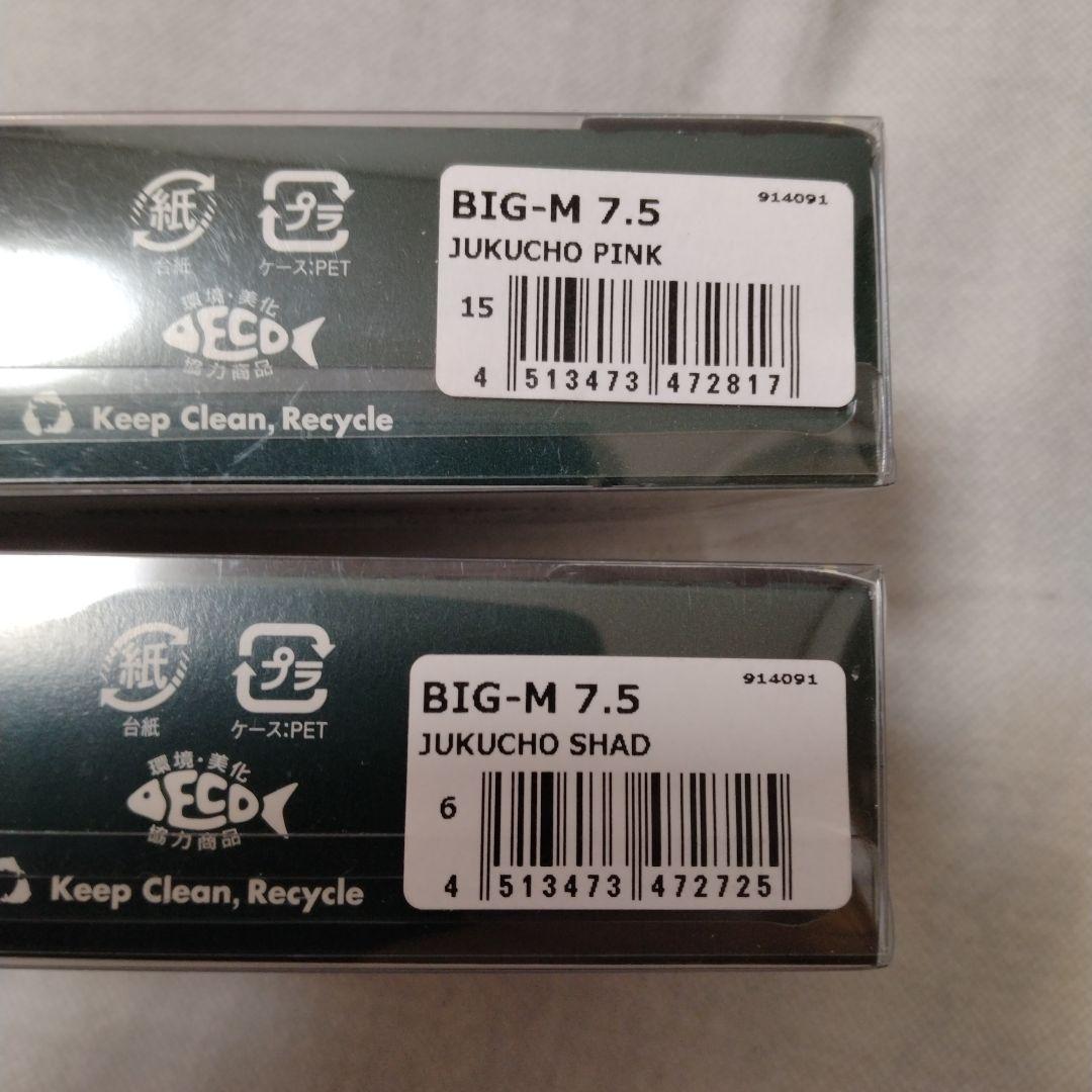 メガバス　BIG-M 7.5 ルアー 2色セット