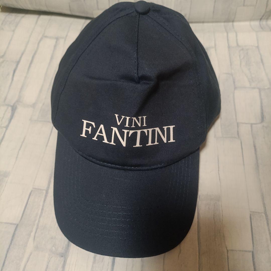 支給品 vini fantini　キャップ NIPPO　帽子　ニッポ　自転車