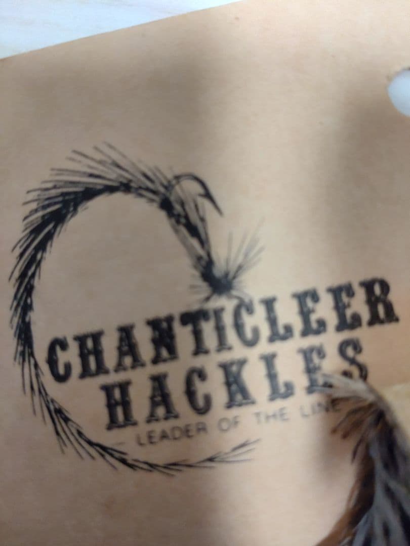CHANTICLEER チャンタクリアハックル　シルバーバジャー系　レア