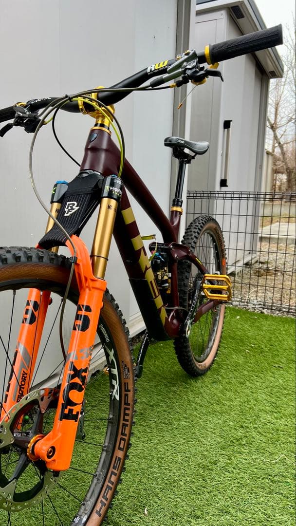 TREK REMEDY 9.7 CARBON(カスタム)2018/2019