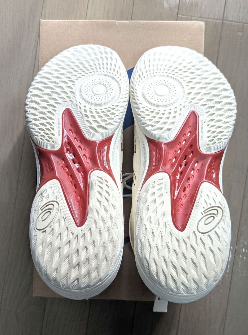 ASICS ゲルフープ V17 GELHOOP