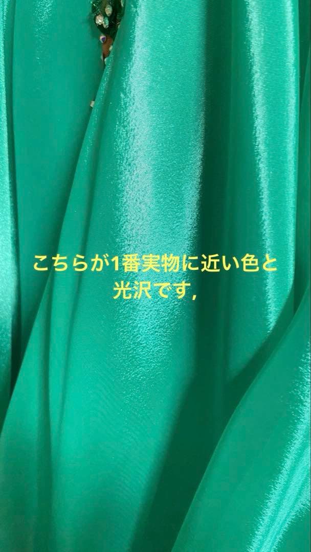 社交ダンス　スタンダードドレス　Felicia製