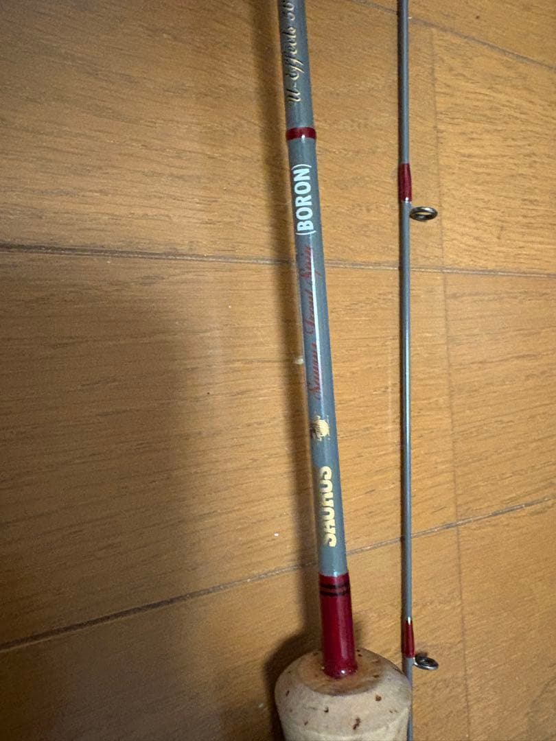 ザウルス　SAURUS BORON TS56ULS