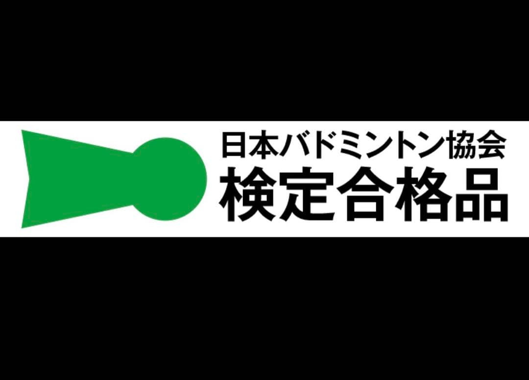 極美品MIZUNOウエーブクローEL２、２5センチ、バドミントンシューズ