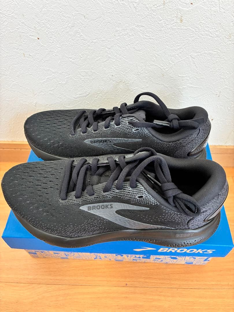 ぼうねずみ  BROOKS Ghost 16 24.0cm