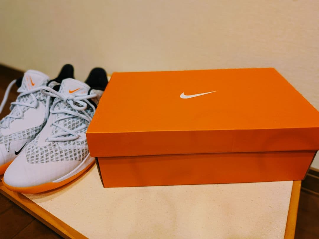 【新品】バレーボールシューズ　27.0cm　NIKE 専用箱有り