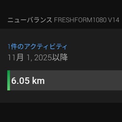 【美品】Fresh Form X 1080 v14 26.0cm 2E