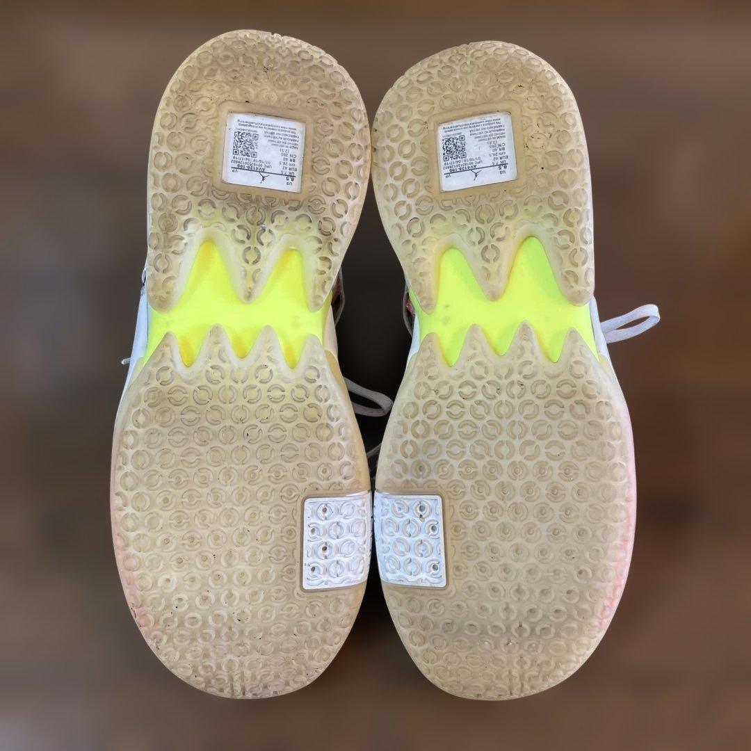 ナイキ⭐︎JORDAN WHY NOT ZER0.2 SE 26.5cm