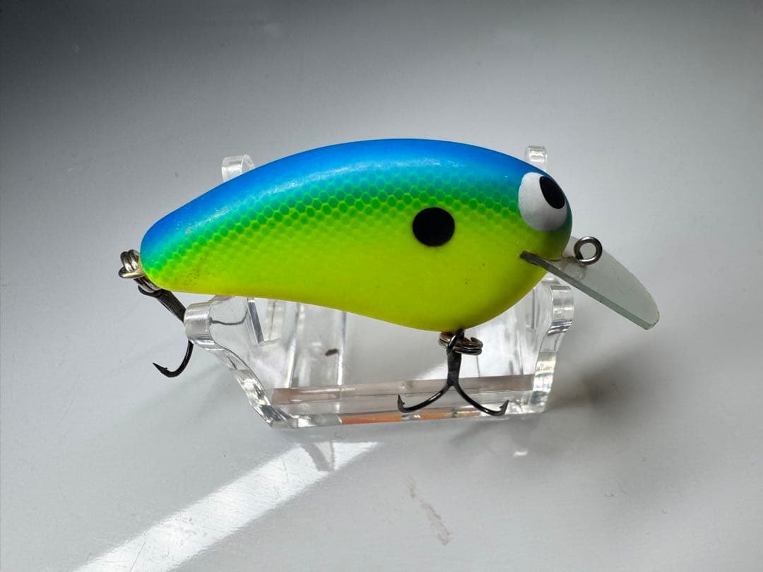 テンフィートアンダー ワラミーワイドル 人気カラー ブルーバックチャート
