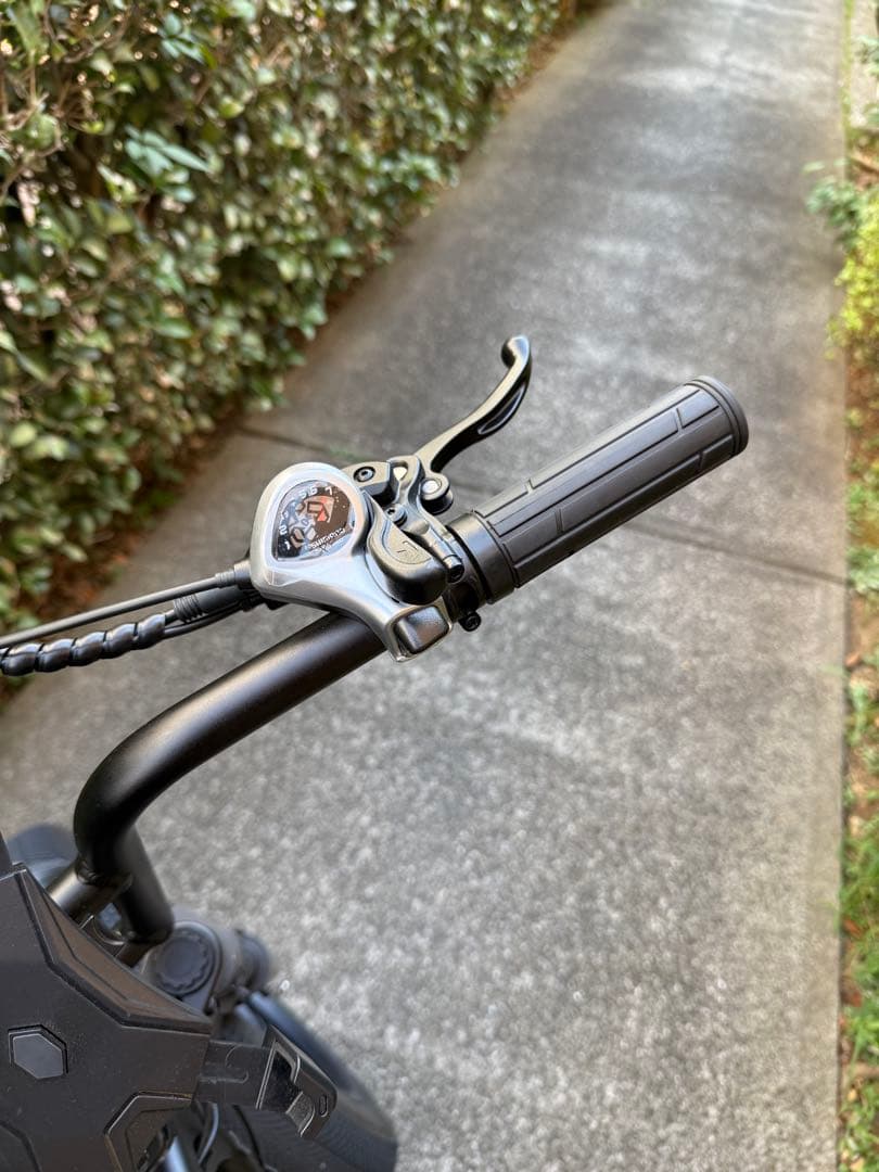 【A-spadz】CAVET II 電動アシスト自転車 20インチ　e-bike