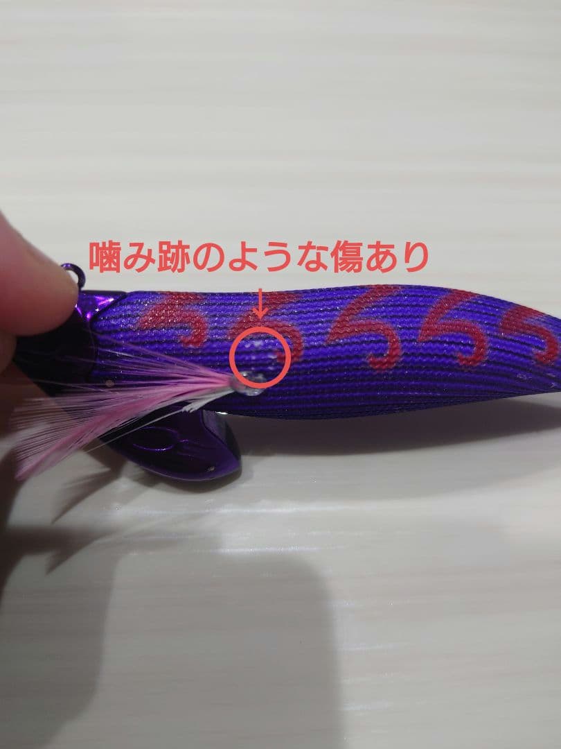 ティップランエギ&シンカーセット