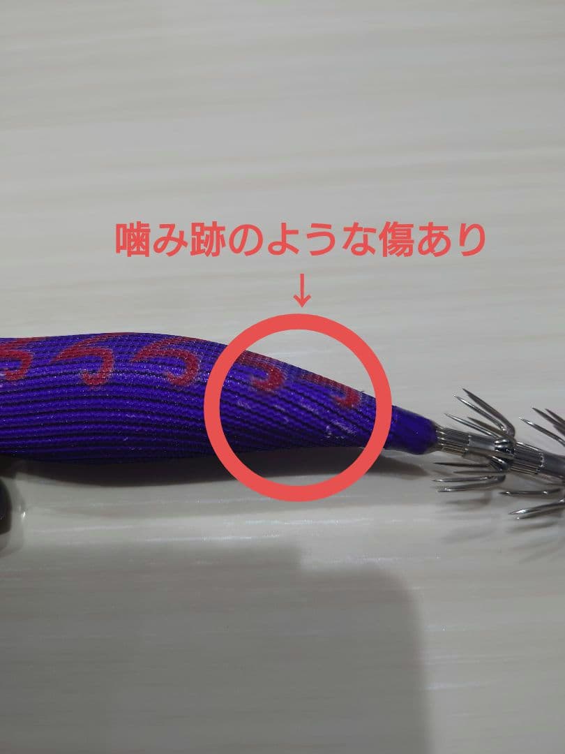 ティップランエギ&シンカーセット