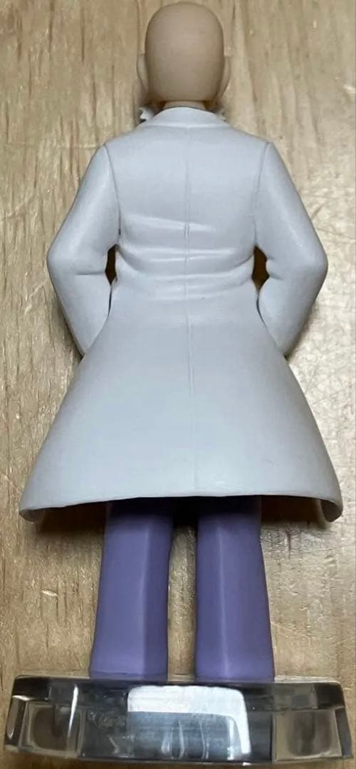 スケールワールド　カツラ