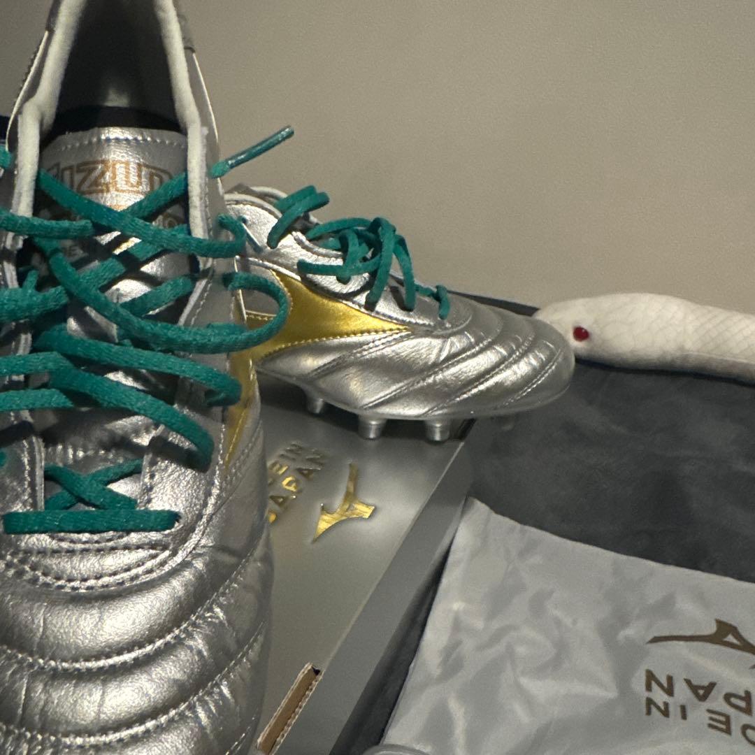 Morelia DNA 4月14日までの出品なのでよろしくお願いします