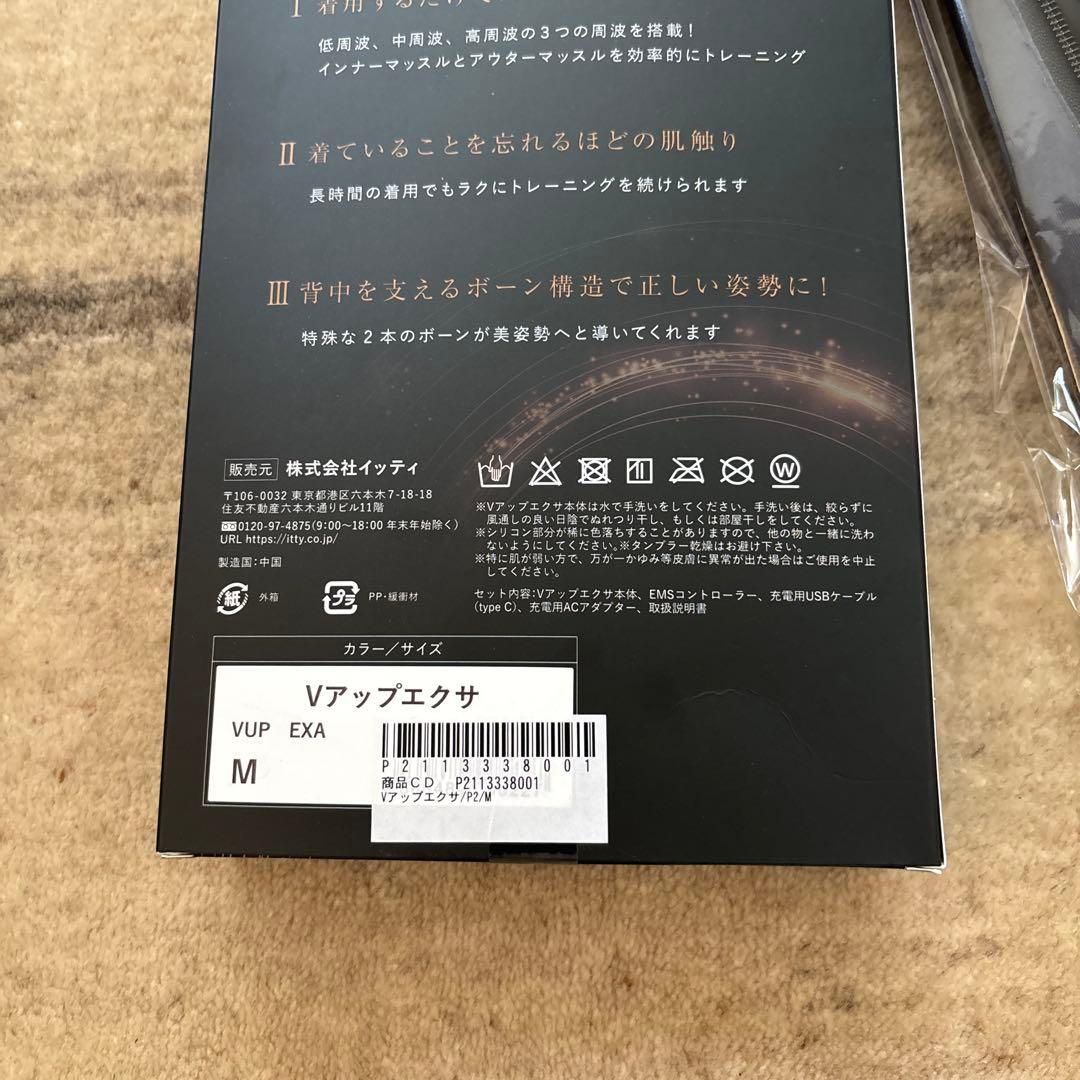 その他 Vup Exa