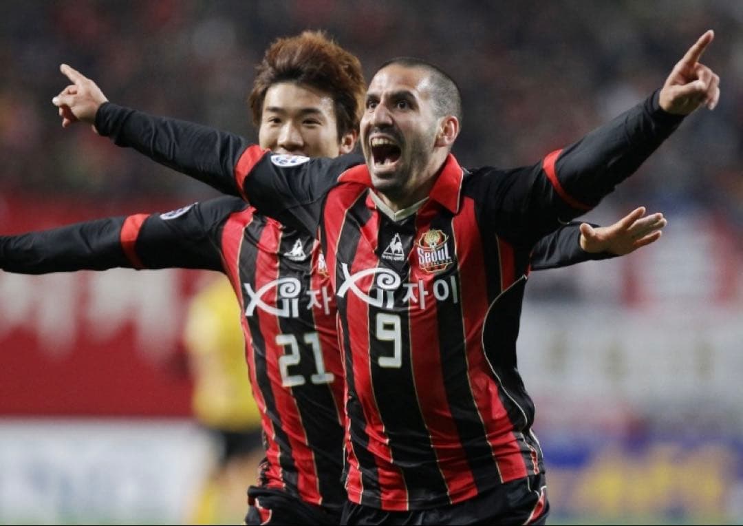 新品、未使用タグ付！ サッカー Kリーグ FCソウル ホーム ユニフォーム L