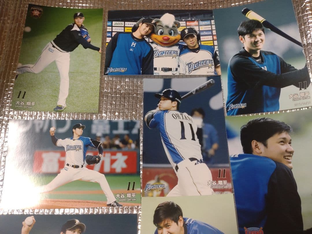 大谷翔平 ハイライトフォト 球団公式写真 ➅ 10枚セット 日本ハム