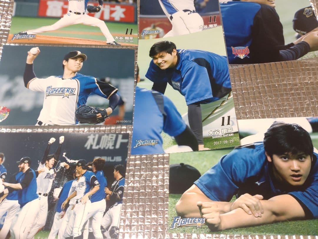大谷翔平 ハイライトフォト 球団公式写真 ➅ 10枚セット 日本ハム