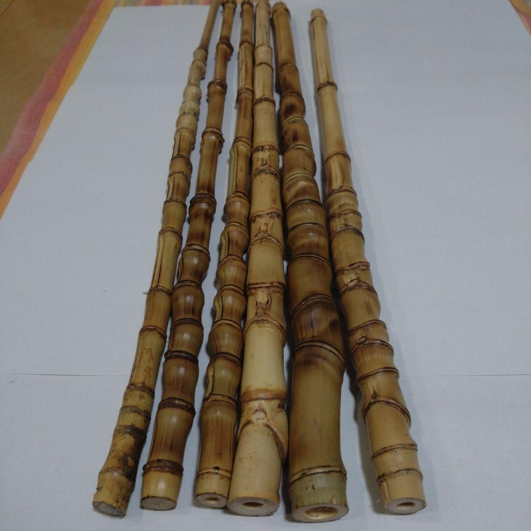 布袋竹(細め)長さ49〜56cm6本セット　釣り具・その他グリップ素材に①