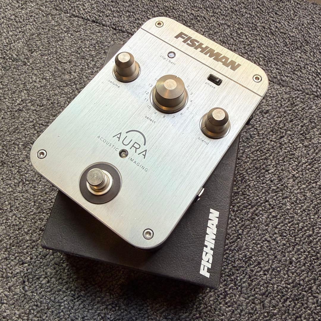 ギター FISHMAN acoustic imaging DREADNOUGHT