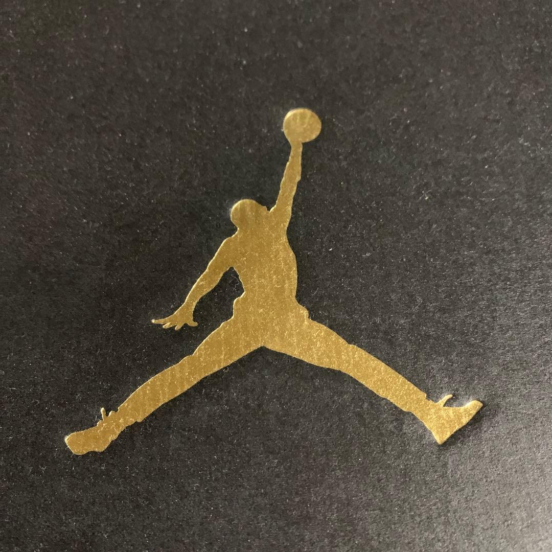 ナイキAIR JORDAN DUB ZERO 25cm 黒