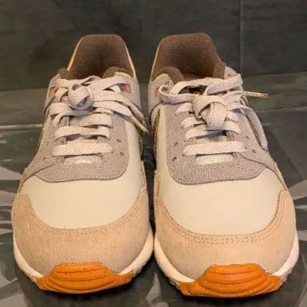 【在庫処分】Nike Nike Air Pegasus　89 GOLF