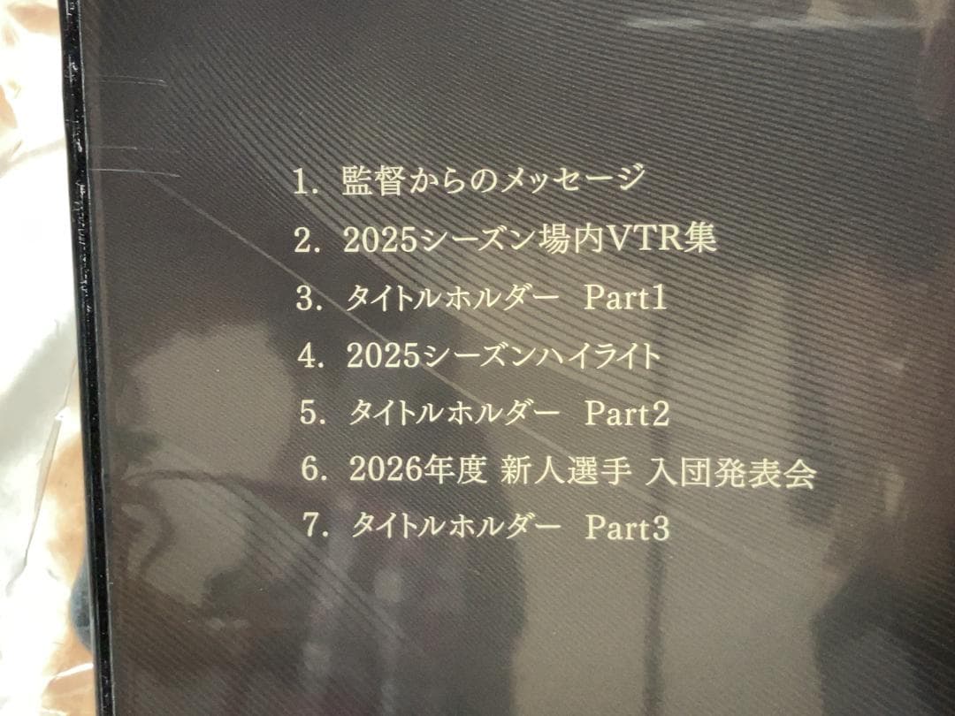 おまけ付き　阪神タイガース　公式ファンクラブ　スタジアムジャンパー　Ｌサイズ