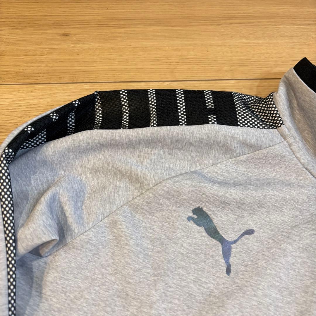 新品　PUMA プーマ　トレーニングウェア　ジャージ上下セット　ゴルフ　XL
