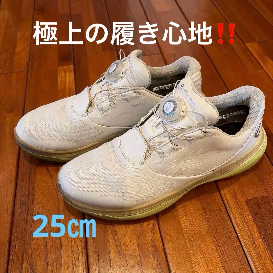 ECCO ゴルフシューズ BOA LT1 フィット ホワイト2024モデル 40