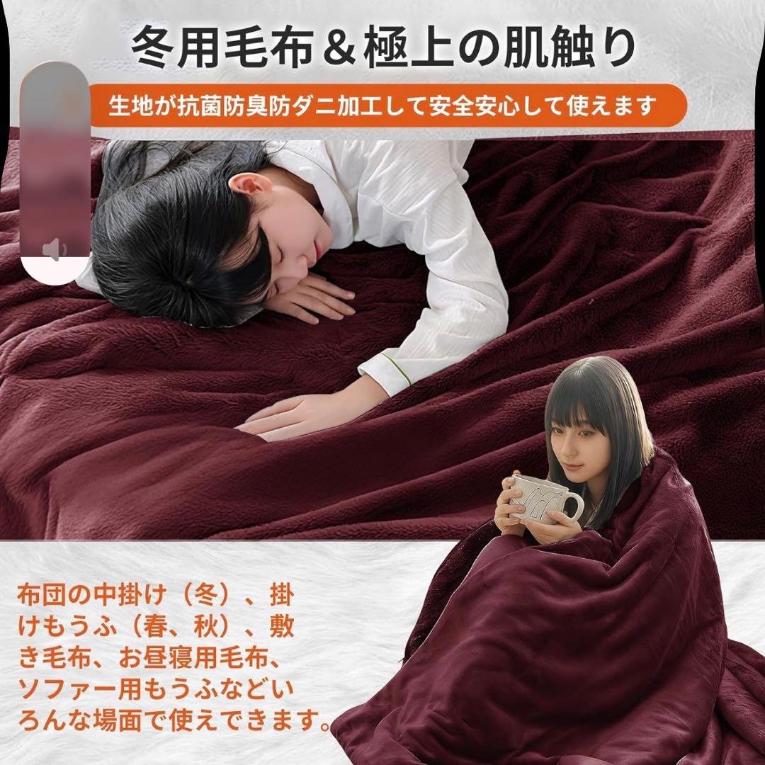 毛布 ダブル 2枚セット 冬 厚手 暖か ブランケット 二枚合わせ もうふ