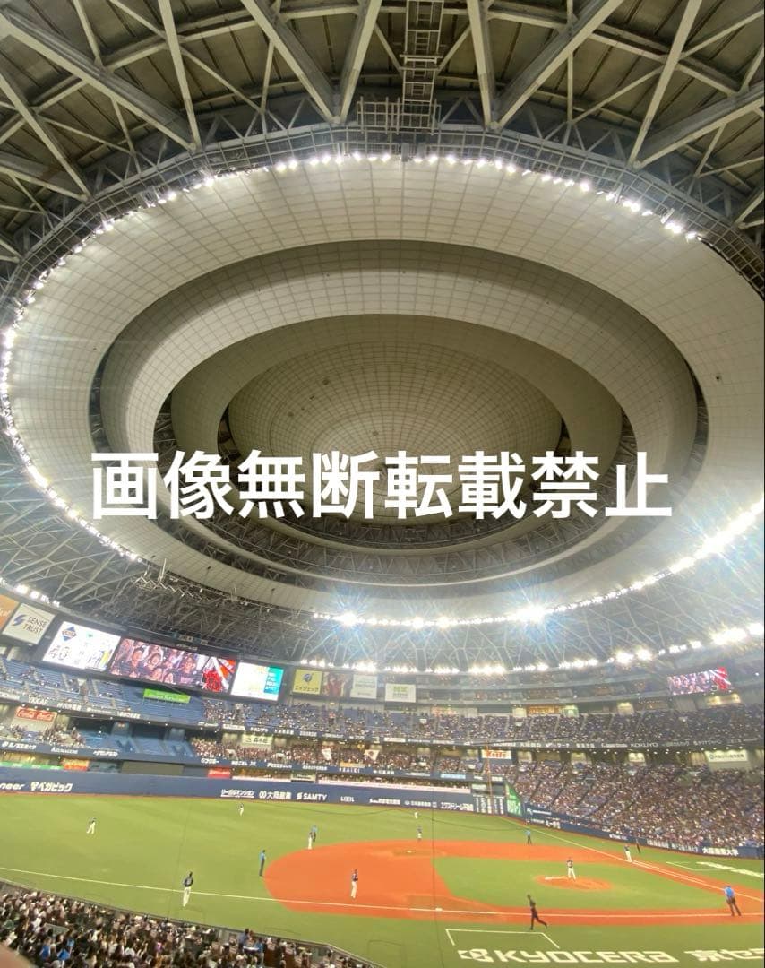 NPB・63.5cm・オリックスバファローズ・オーセンテックキャップ