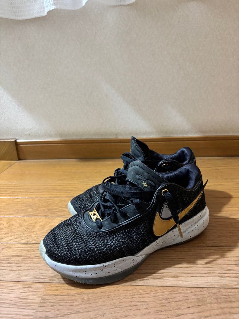 Nike LeBron 20（ナイキ レブロン 20）
