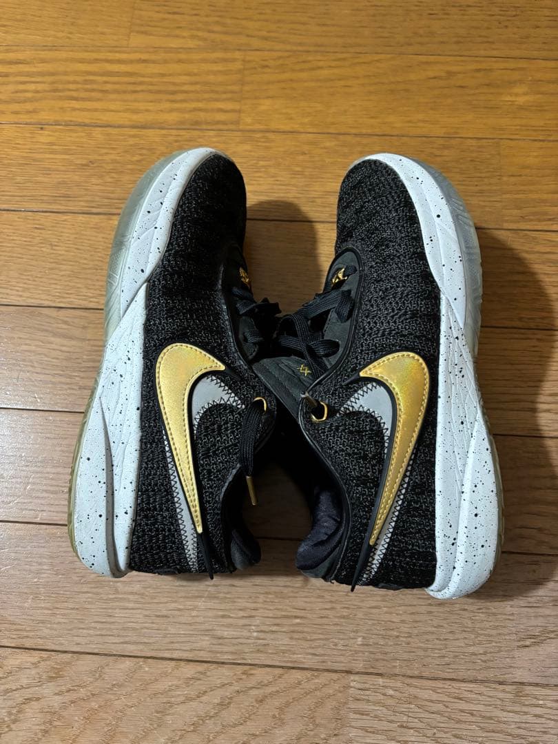 Nike LeBron 20（ナイキ レブロン 20）