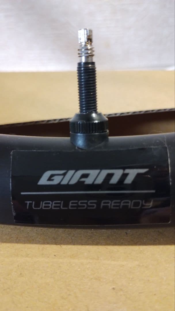 GIANT PR2（Defy Advanced 2 2024 付属未使用) 前後