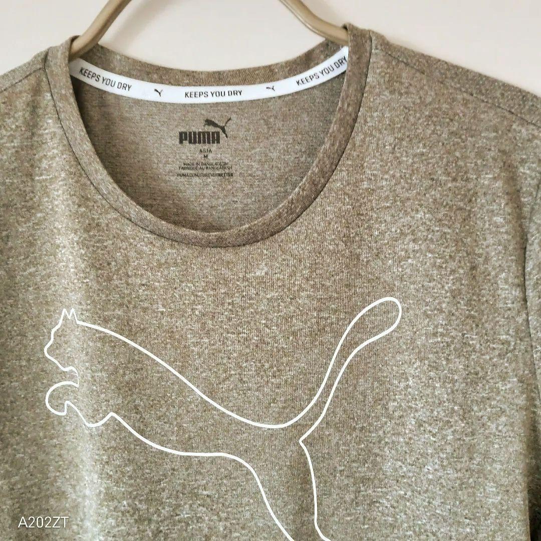PUMA 　 Tシャツ ショートスリーブ　　オリーブ