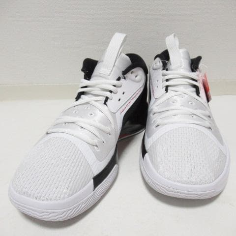 NIKE ジョーダン ズーム セパレート PF 27.5cm