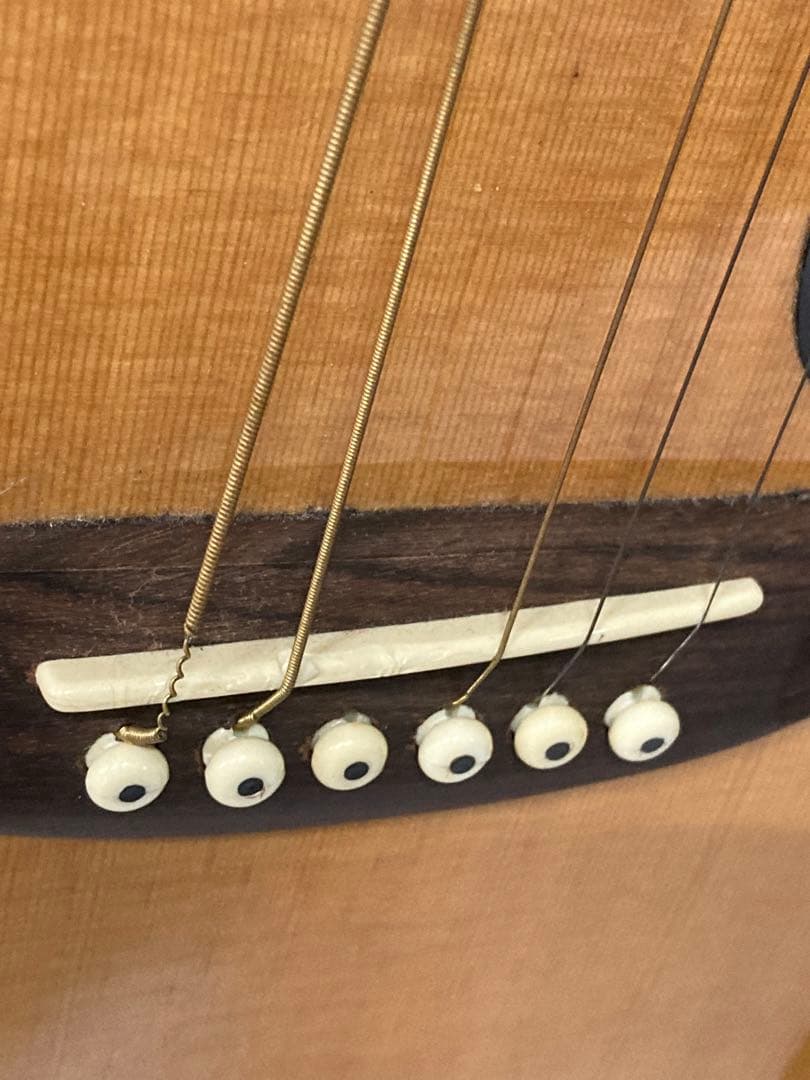 ギター Johnson EST.1993 electro-acoustic guitar