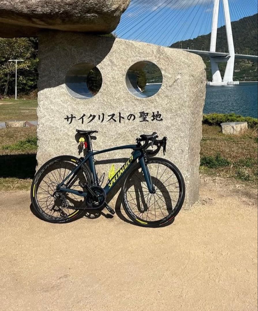 完成車 SPECIALIZED VENGE Elite 2018 総額78万