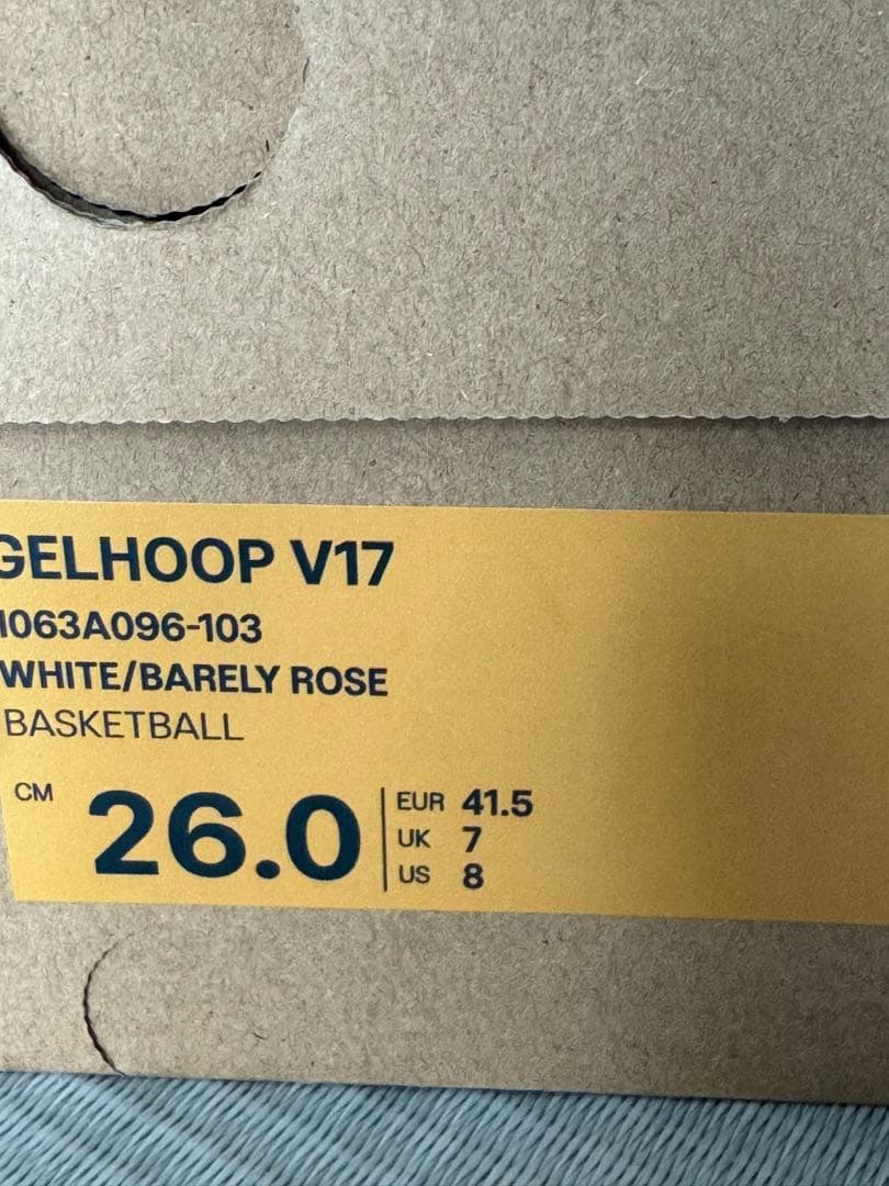 ASICS GELHOOP V17 26.0cm アシックス