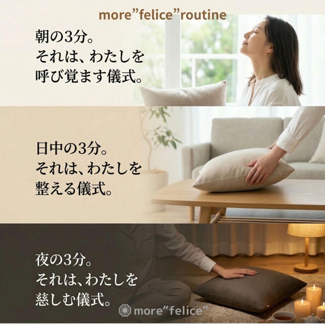 more felice公式腹筋 ボード ヨガマット付き 記録シート