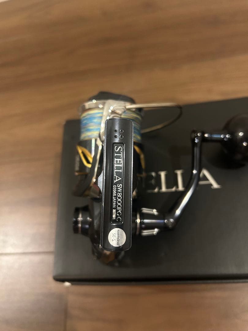 19ステラSW8000PG