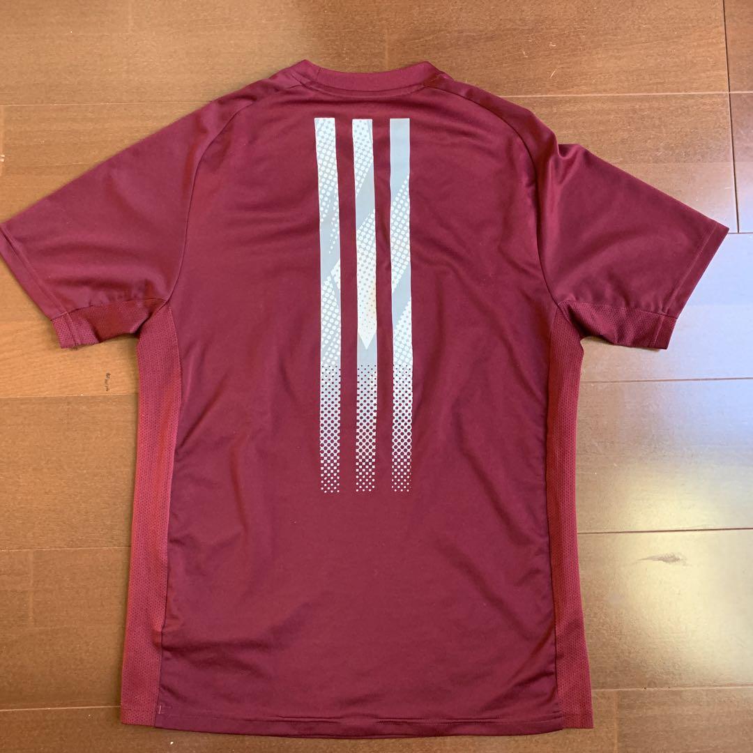 adidas×早稲田“BIG BEARS“チームトレーニングTシャツMDサイズ