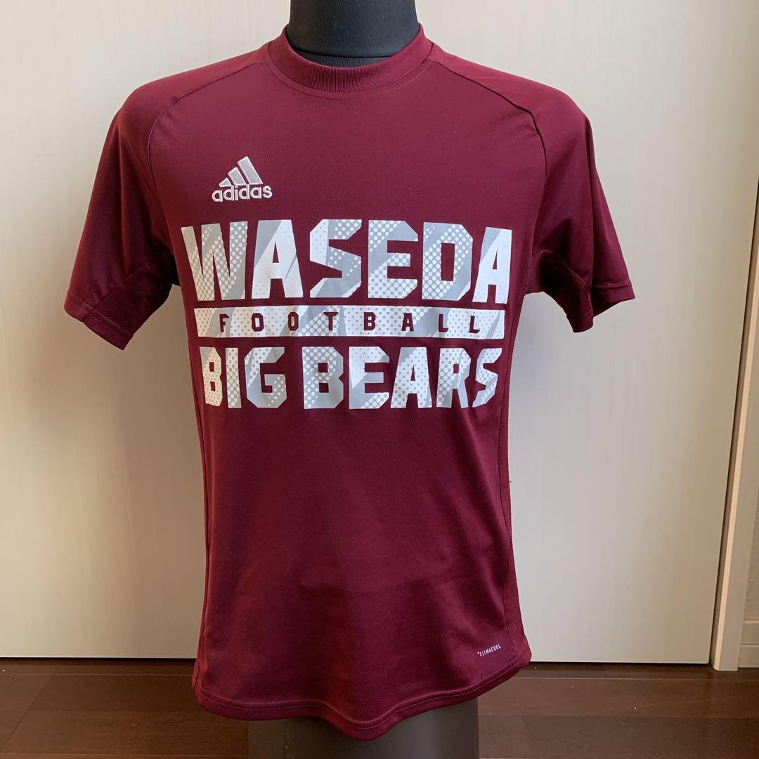 adidas×早稲田“BIG BEARS“チームトレーニングTシャツMDサイズ