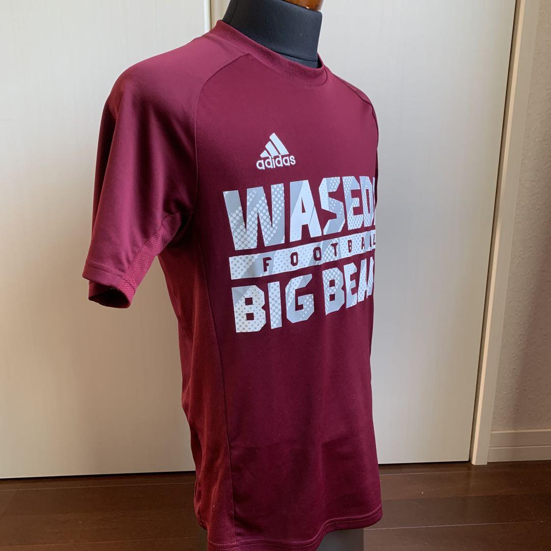 adidas×早稲田“BIG BEARS“チームトレーニングTシャツMDサイズ